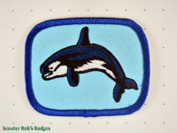 Click to enlarge Killer Whale